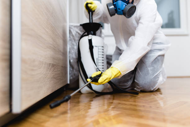 Best Best Pest Control Companies  in Holualoa, HI