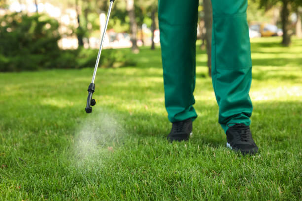 Best Exterminator Services  in Holualoa, HI