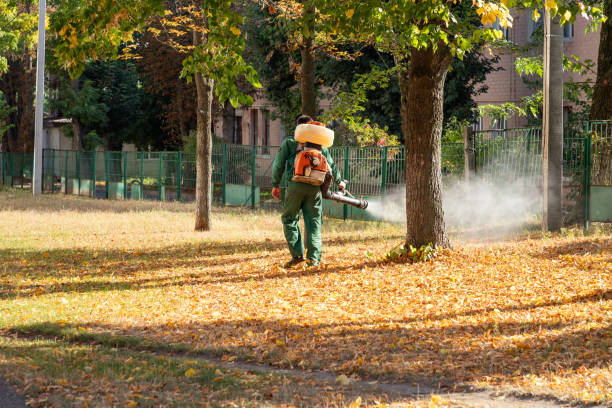 Best Cockroach Control Services  in Holualoa, HI